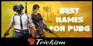 1289+ Best, Funny, Cool Pubg Names Collection {*Updated Names}