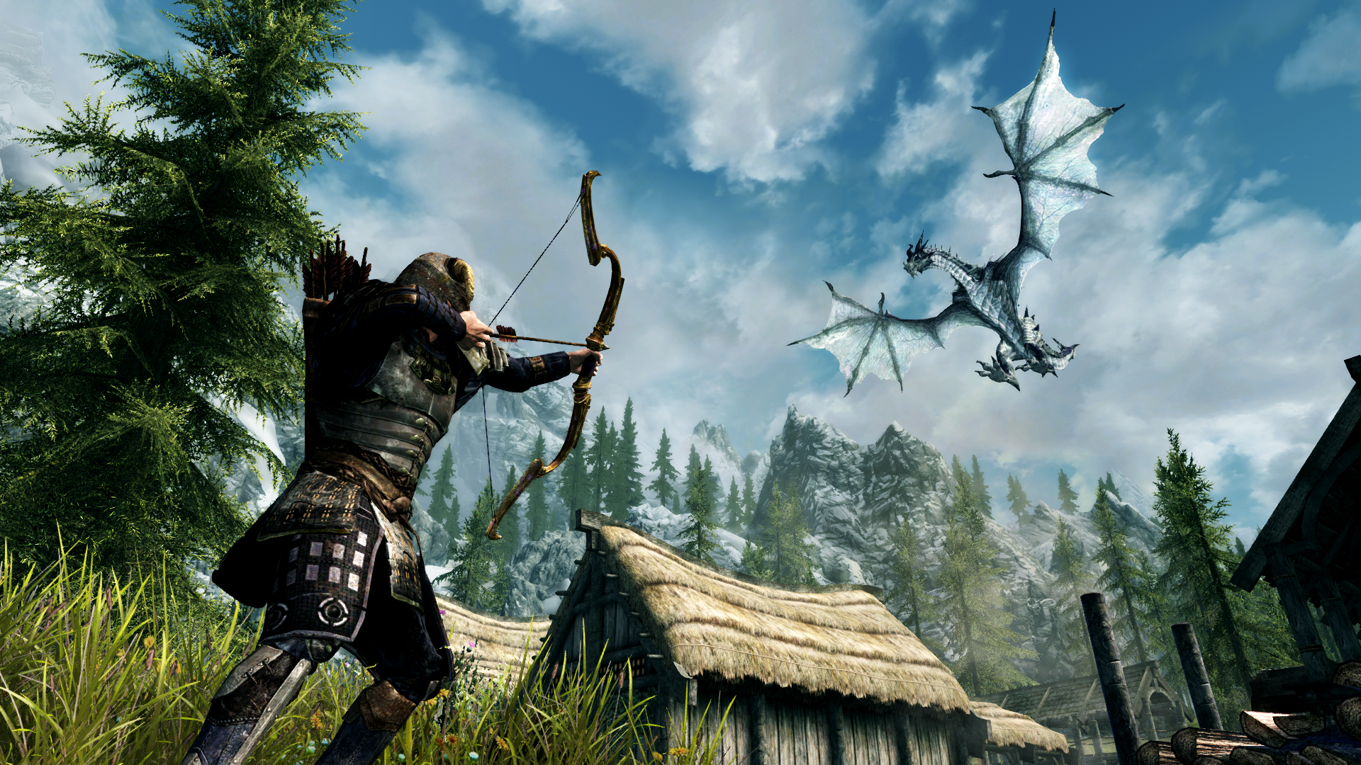 Grab a Friend and Try Out the Skyrim Together Mod