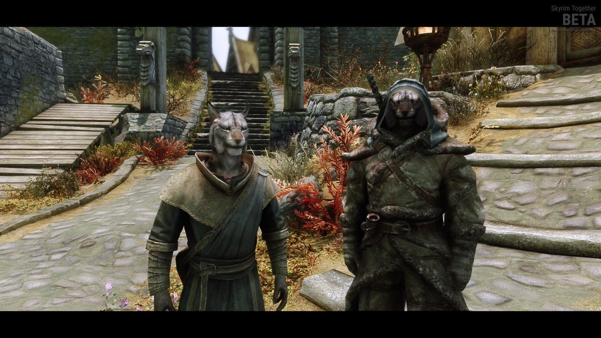 Grab a Friend and Try Out the Skyrim Together Mod