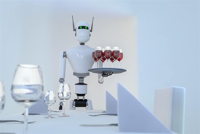 Robo to Clean the House - Is it Worth Buying or Is it a Myth?
