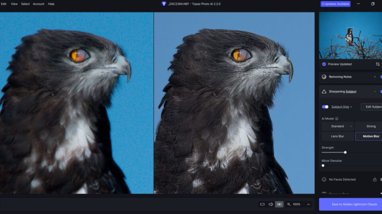 How to improve your photos with AI - Discover the best AI photo enhancers